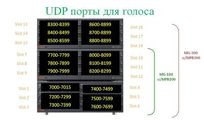 UDP Voice MG.jpg